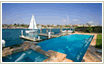 Website Design
